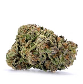 Most Wanted - Platinum Bird | Big Buds | 3.5g - 1