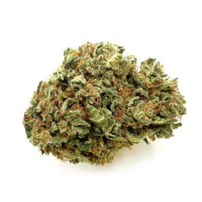 Most Wanted - AC/DC x Cannatonic | Big Buds | 3.5g - 1