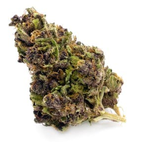 Most Wanted - Whitethorn Rose | Big Buds | 14g - 1