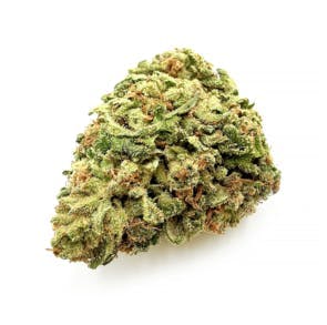 Most Wanted - Orange 76 | Big Buds | 14g - 1