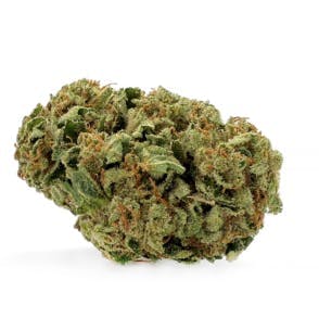 Most Wanted - Mountain Medicine | Big Buds | 3.5g - 1