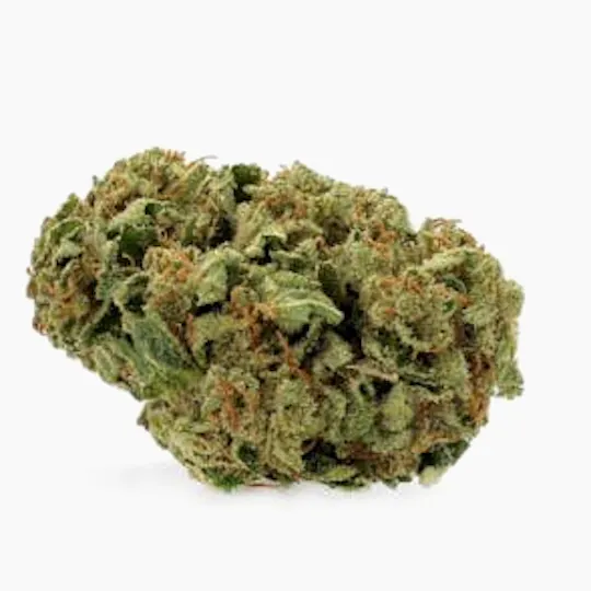 Most Wanted - Mountain Medicine | Big Buds | 3.5g - 1