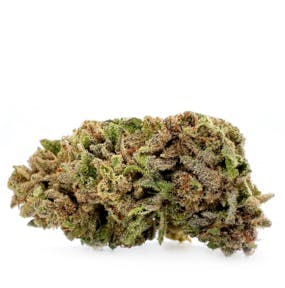 Most Wanted - Jelly Donutz | Big Buds | 14g - 1