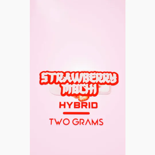 BLNKRZ - BLNKRZ | Strawberry Mochi | Disposable | 2g - 1