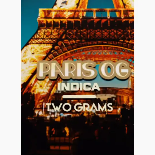 BLNKRZ - BLNKRZ | Paris OG | Disposable | 2g - 1