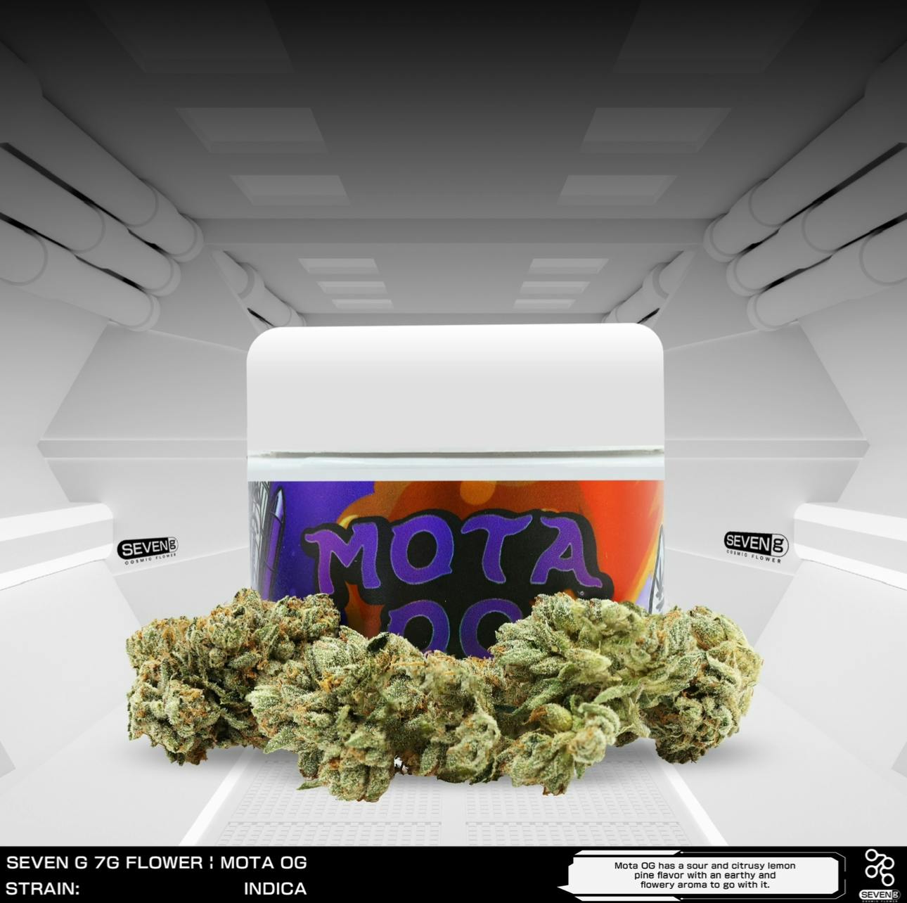 Seven G - Mota OG Indica 3.5 gram jar by Seven G - 1