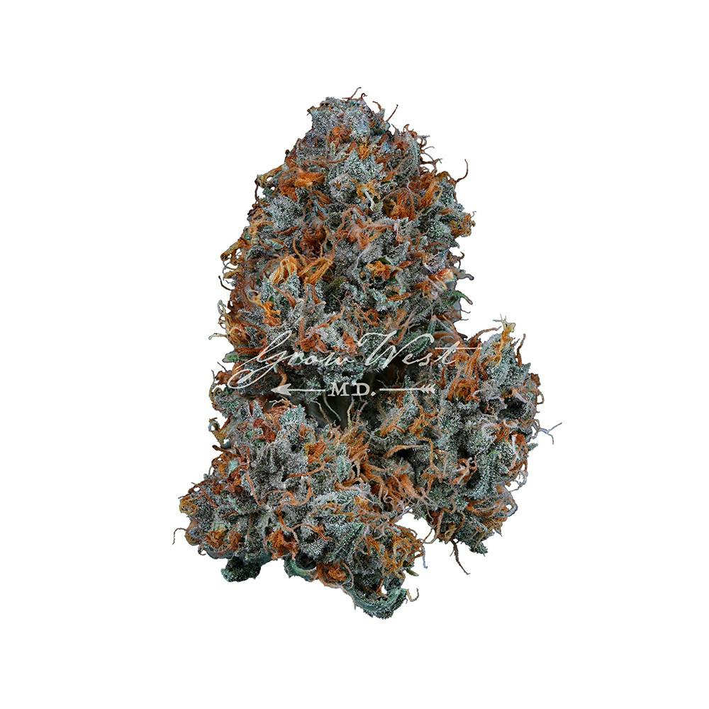 Grow West Cannabis Company - Frosted Oranges | Reserve | Hand-Trimmed Flower | 7g - 1