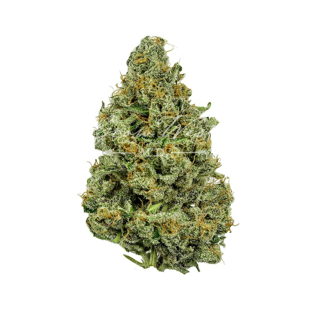 Grow West Cannabis Company - Gandhari Kush | Reserve | Hand-Trimmed Flower | 7g - 1