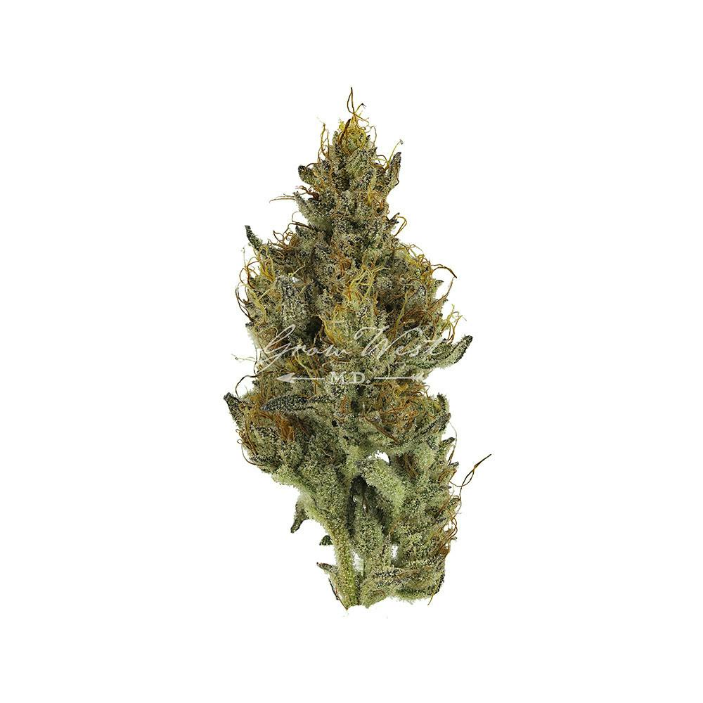 Grow West Cannabis Company - Goat Piss | Reserve | Hand-Trimmed Flower | 7g - 1