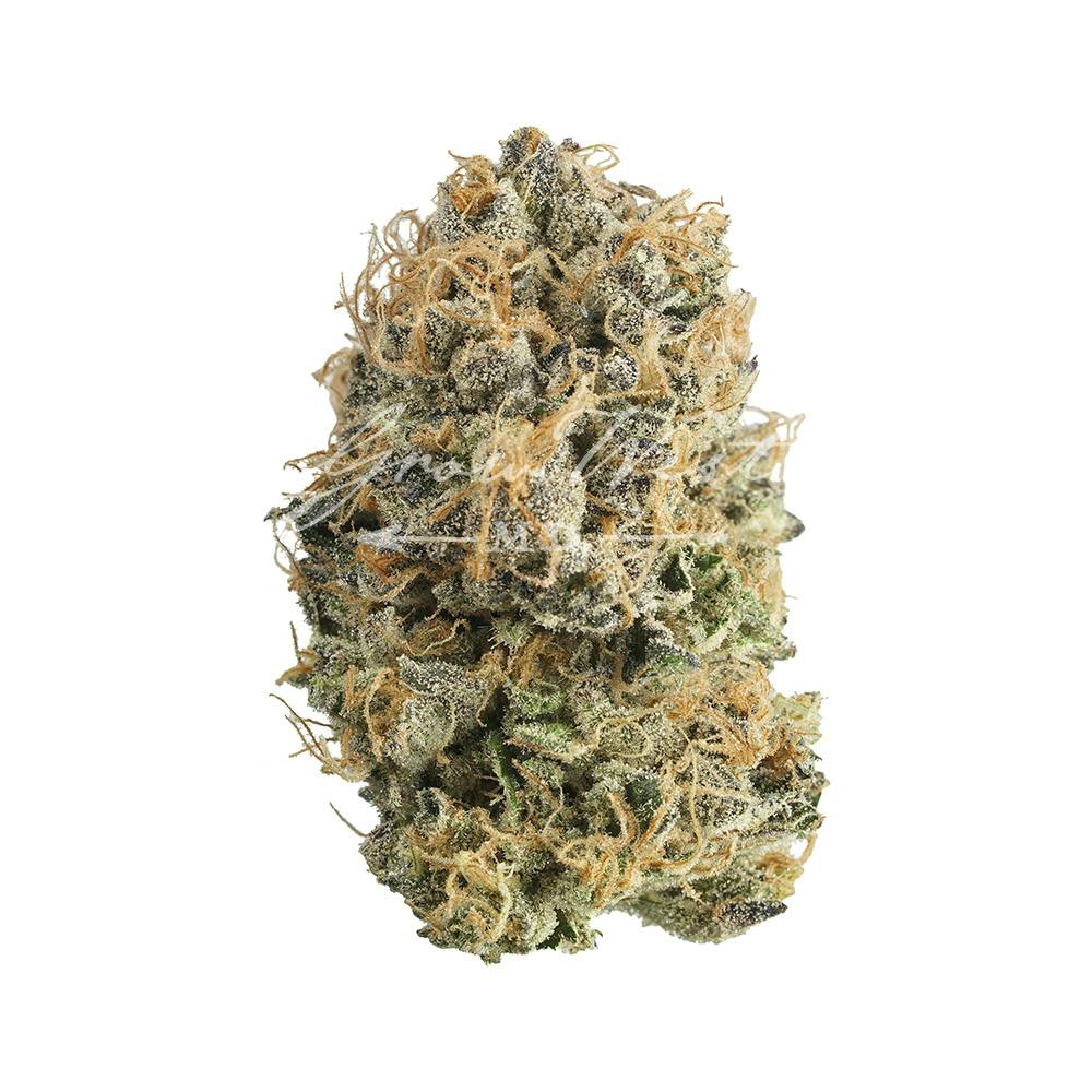 Grow West Cannabis Company - Hindu Mints | Reserve | Hand-Trimmed Flower | 7g - 1