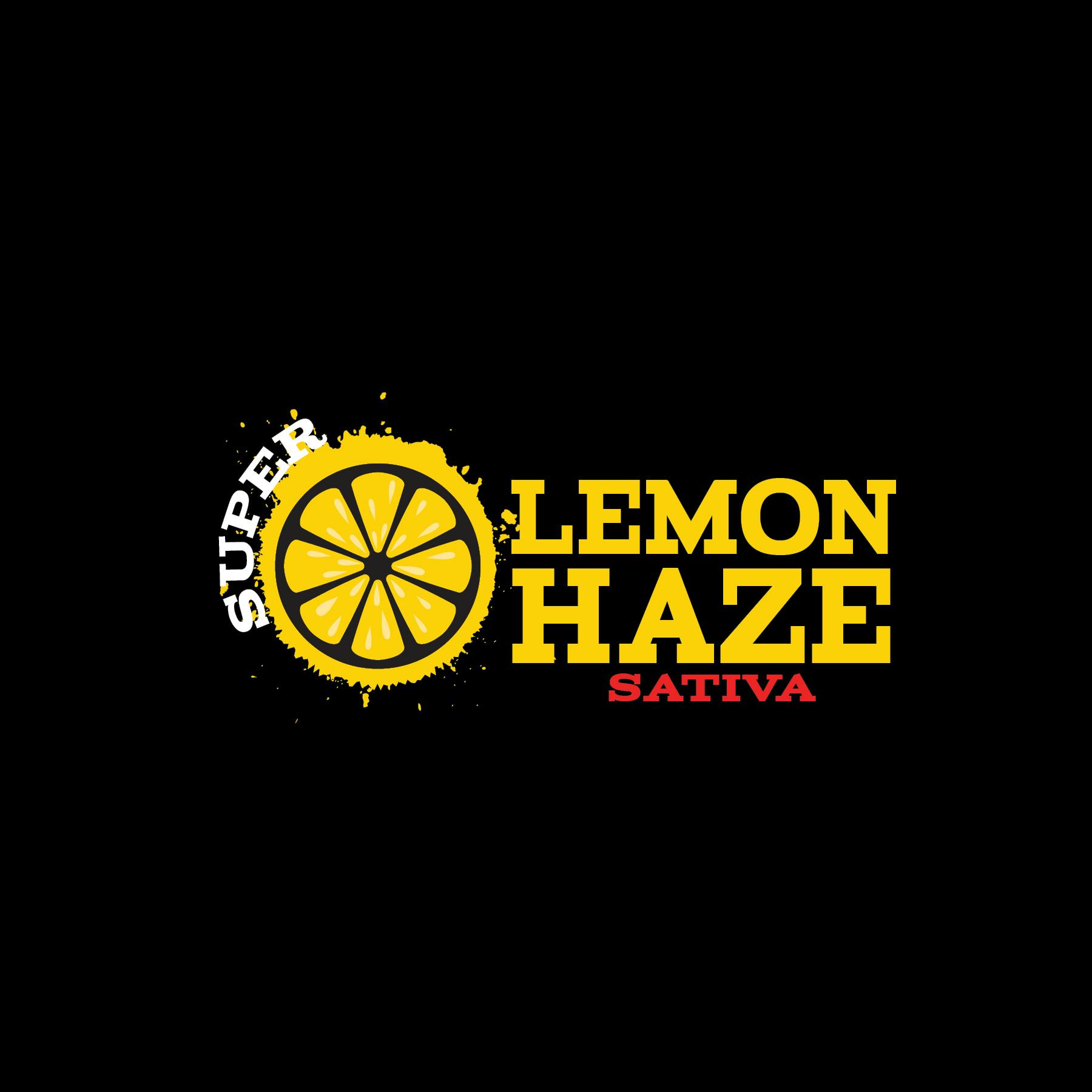 Green Dynasty - Green Dynasty | Super Lemon Haze | Shake | 28g - 1