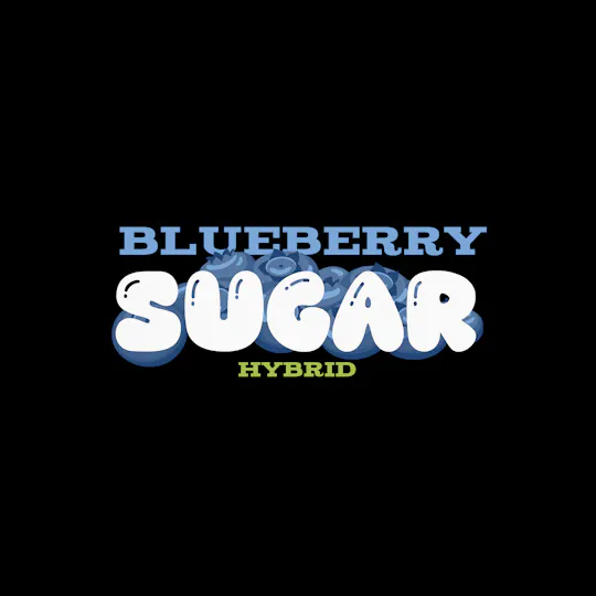 Green Dynasty - Green Dynasty | Blueberry Sugar | Shake | 28g - 1