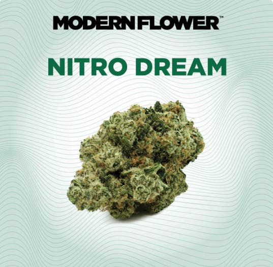Modern Flower - Modern Flower | Nitro Dream | Big Buds | 3.5g - 1