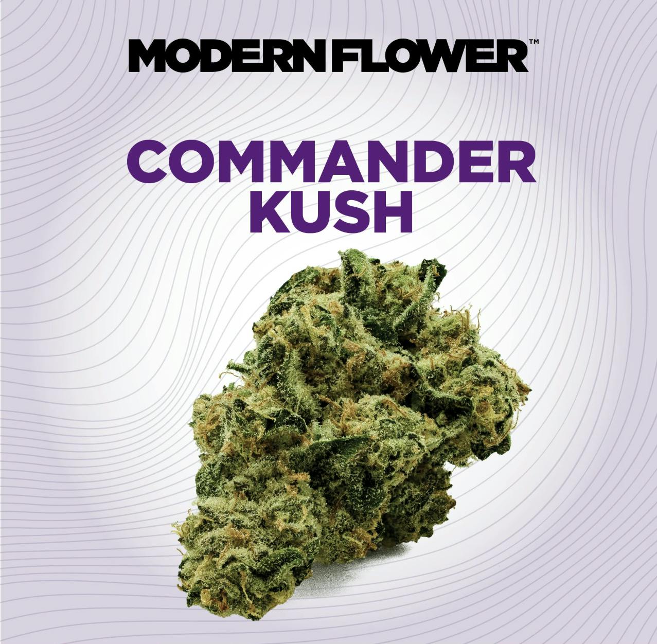 Modern Flower - Modern Flower | Commander Kush | Big Buds | 28g - 1