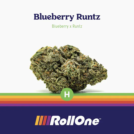 Roll One - Roll One | Blueberry Runtz | Big Buds | 3.5g - 1