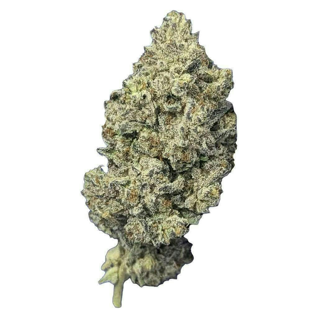 Papa's Herb - Jealousy | Big Buds | 14g - 1