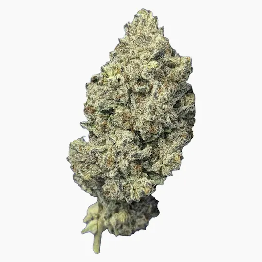 Papa's Herb - Jealousy | Big Buds | 14g - 1