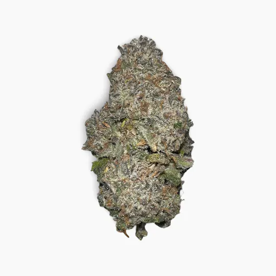 Indico - Fiji Belts - Unicorn Tears - 1