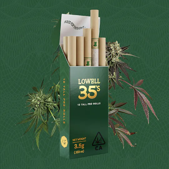 Lowell Farms - LOWELL 35, Mind Safari, 10 Pack - 1