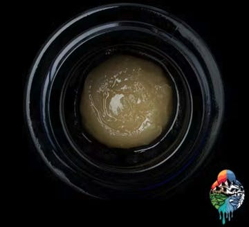 Helios Hash - Helios Hash | Frozen Bag | Cold Cure Live Rosin | 1g - 1