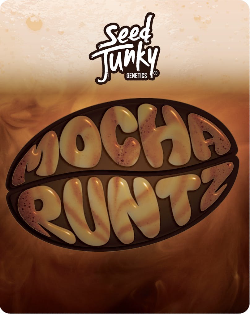 Seed Junky - Mocha Runtz | Big Buds | 28g - 1