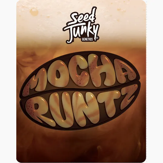 Seed Junky - Mocha Runtz | Big Buds | 28g - 1