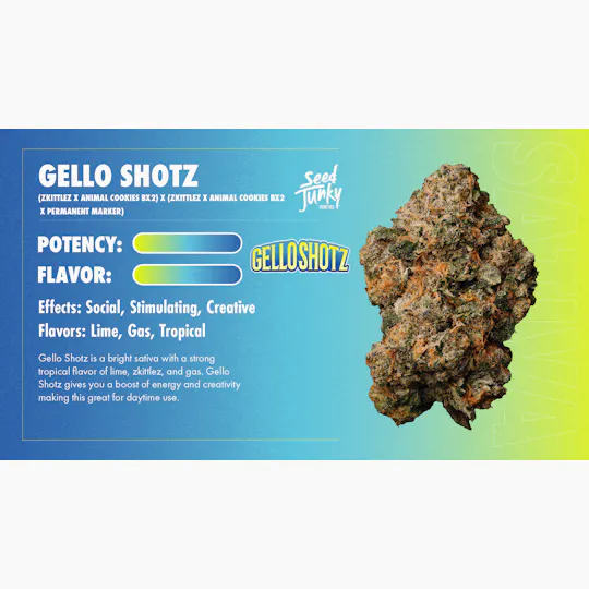 Seed Junky - Seed Junky | Gello Shotz | Big Buds | 28g - 1
