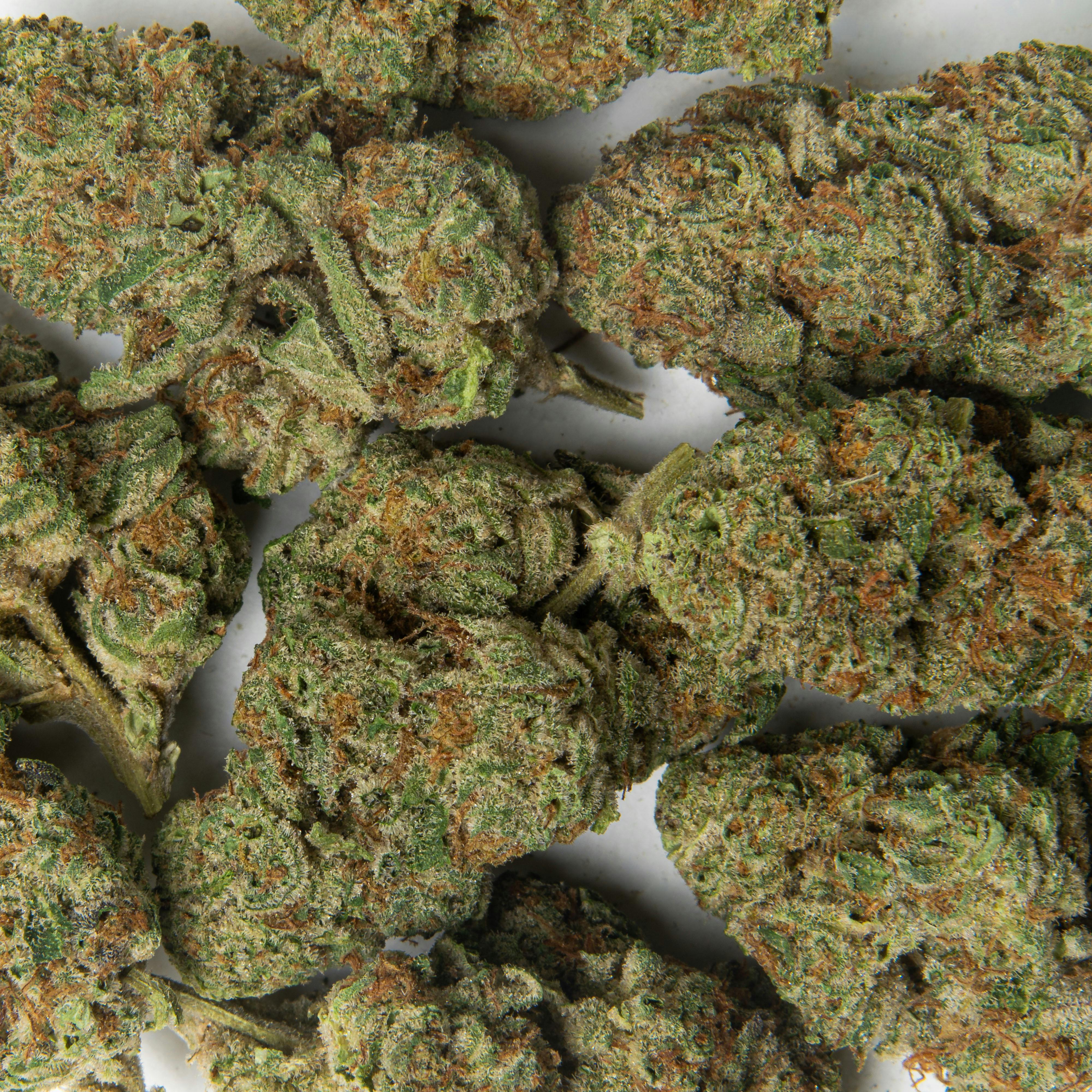 Pacific Stone - Pacific Stone | Durban Poison | Big Buds | 3.5g - 1