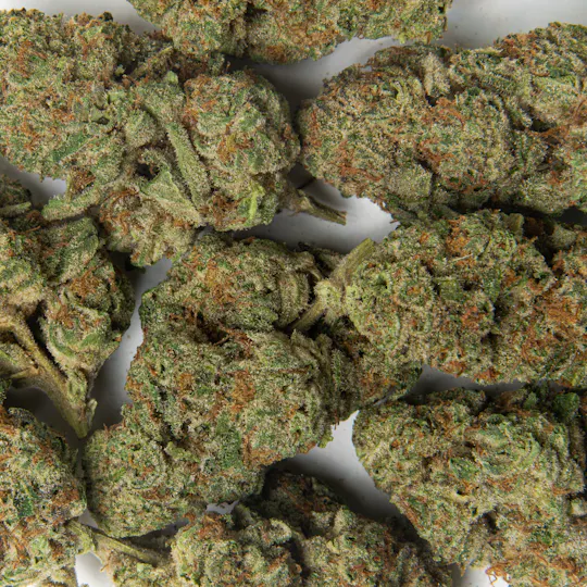 Pacific Stone - Pacific Stone | Durban Poison | Big Buds | 3.5g - 1