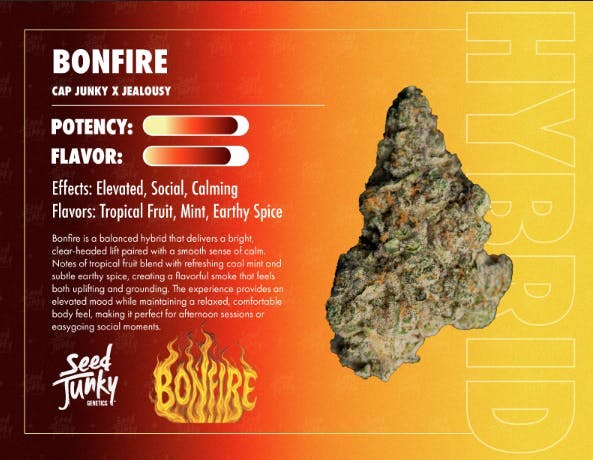 Seed Junky - Bonfire | Smalls | 14g - 1