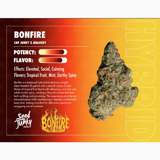 Seed Junky - Bonfire | Smalls | 14g - 1