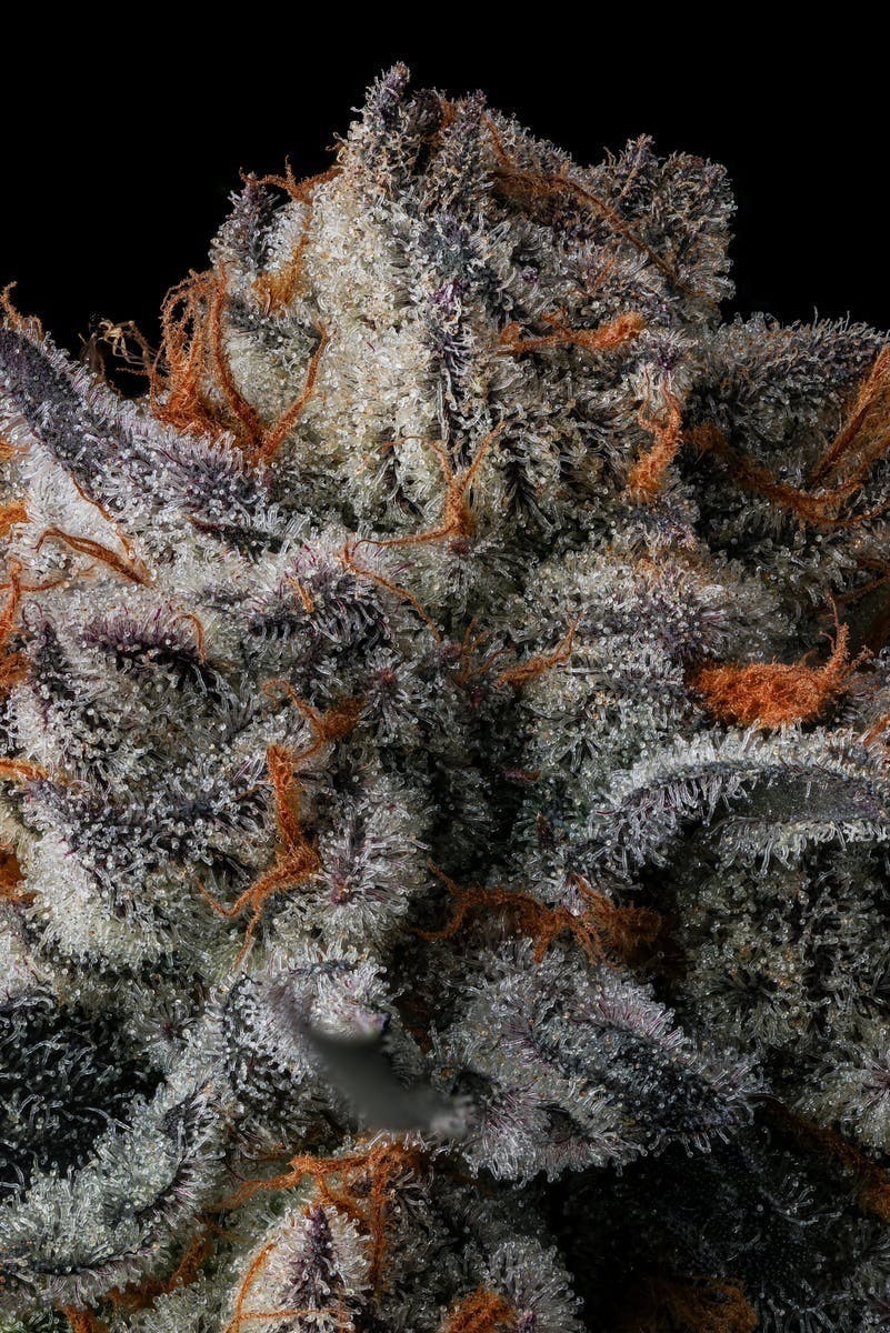 Decibel Gardens - Something Wild | Indoor Flower | 3.5g - 1
