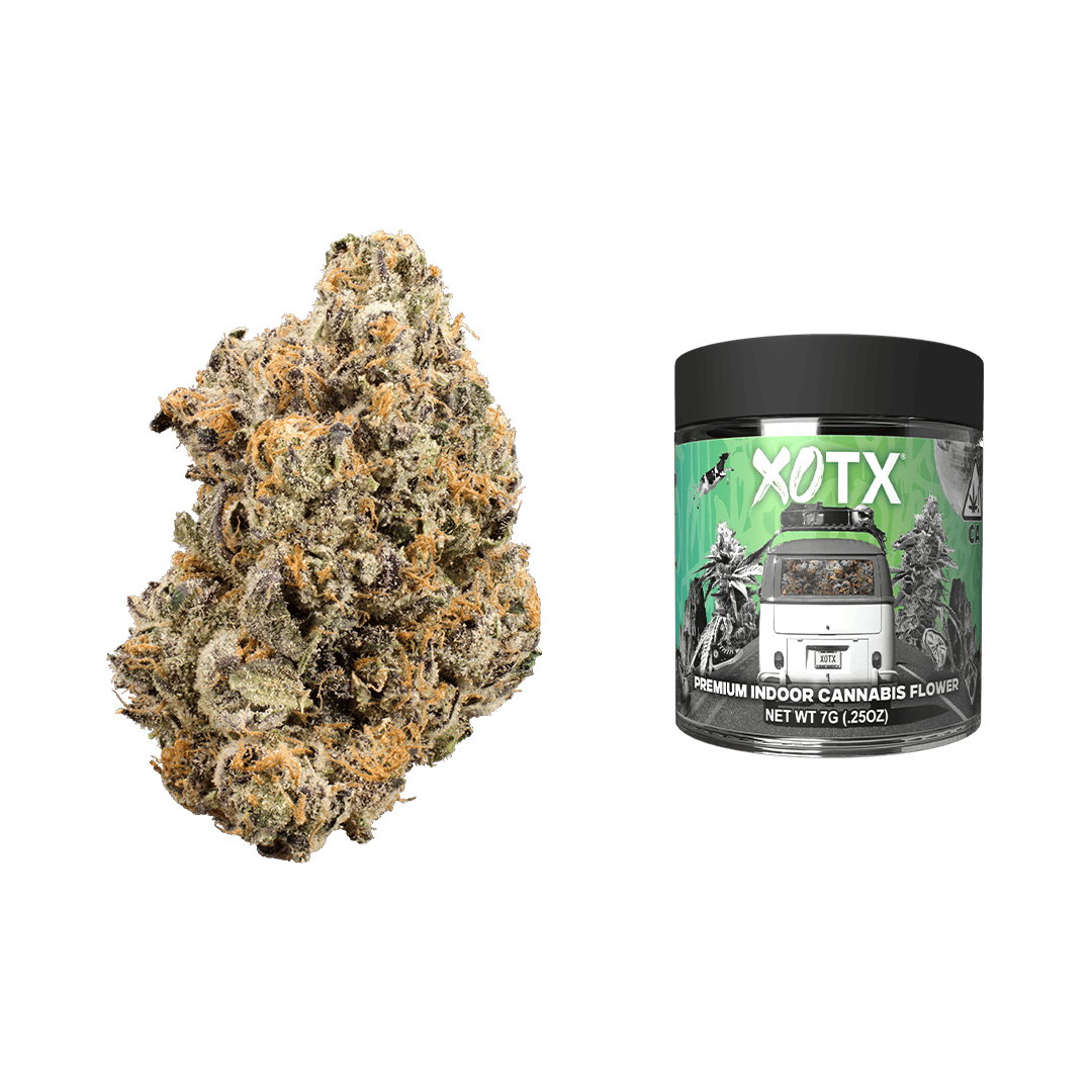 Goddess - XOTX | Lemon Deluxe | Big Buds | 7g - 1