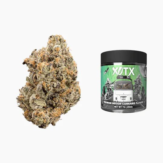 Goddess - XOTX | Lemon Deluxe | Big Buds | 7g - 1