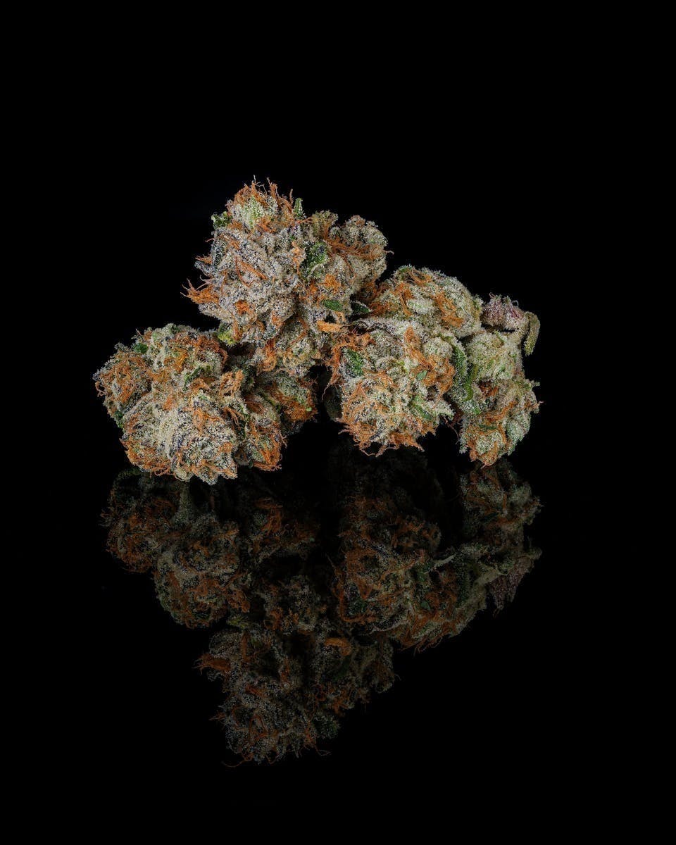 Decibel Gardens - Acid Bath | Indoor Flower | 3.5g - 1