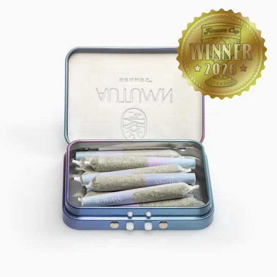 Autumn Brands - Autumn Brands | Purple Carbonite | Minis | 0.36g each | 10pk - 1