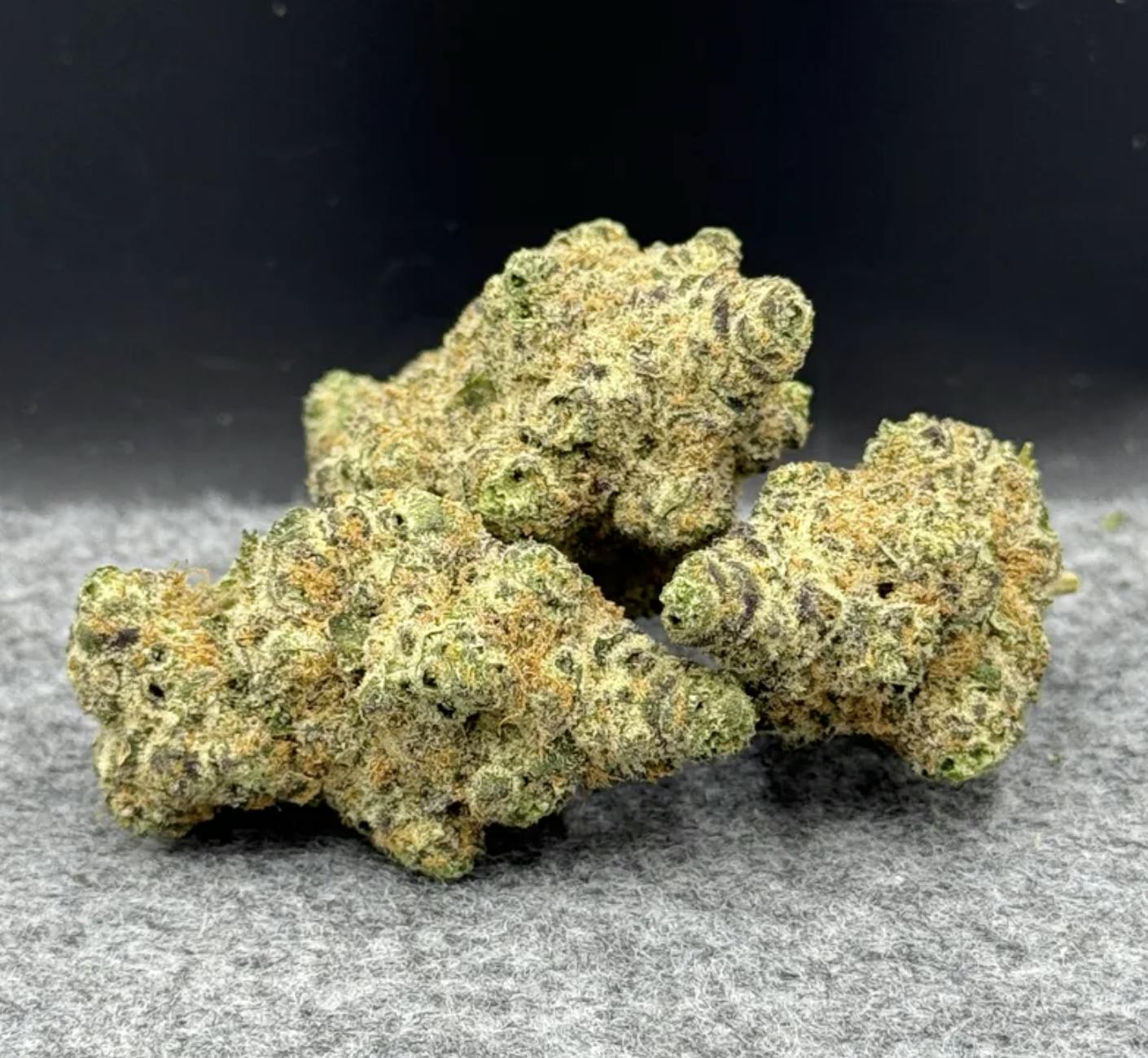 True North Collective MI - True North Collective | Satsuma Sherb #5 | Big Buds - 1