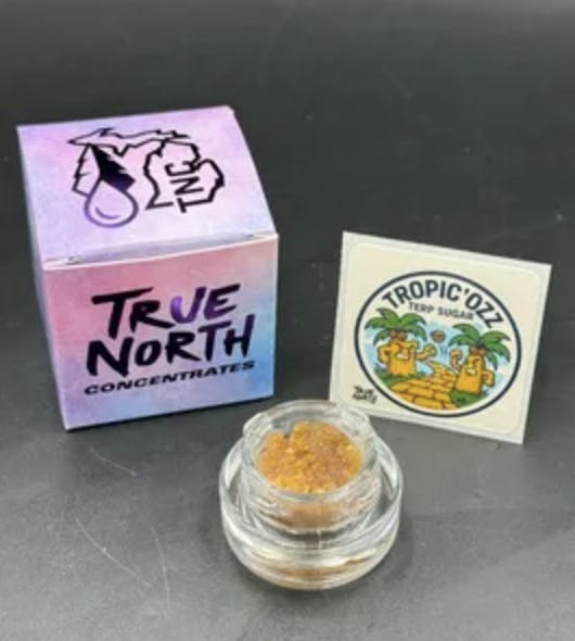 True North Collective MI - True North Collective | Tropic'Ozz | Nug Run Terp Sugar | 1g - 1