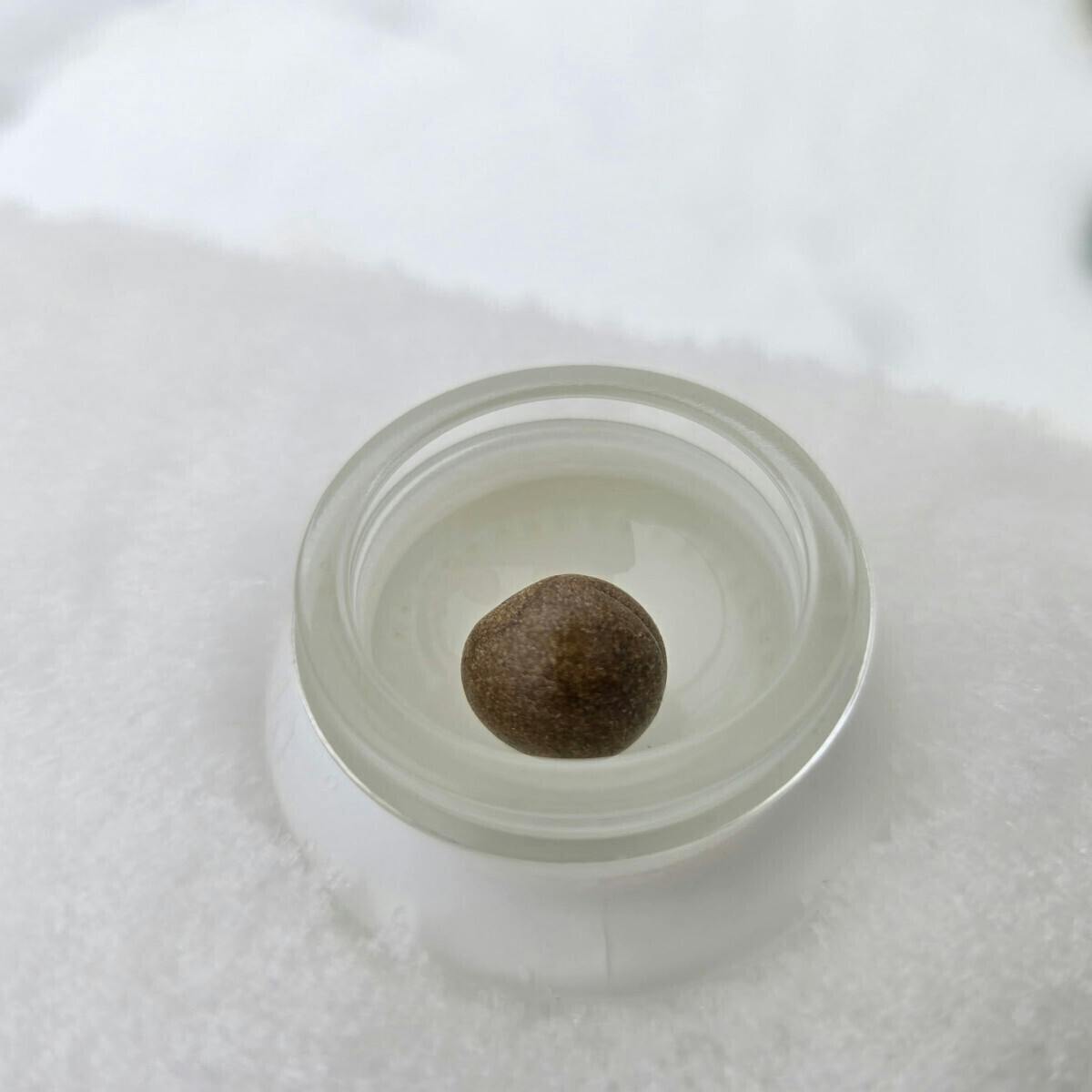 Tao Labs - Tao Labs | Tri-Blend Temple Ball | Cured Hash | 1g - 1