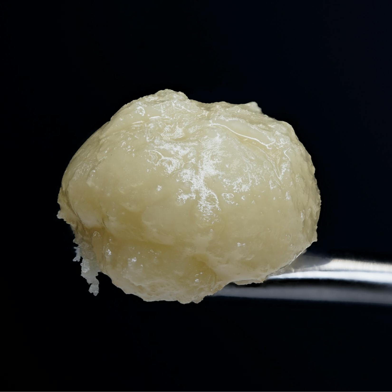 Wojo Co - Wojo Co | Stuffed Grape Gelato | Live Rosin - 1g - 1