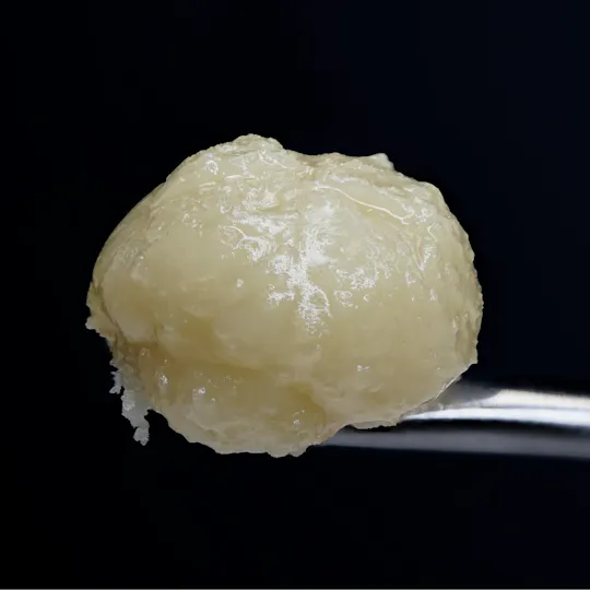 Wojo Co - Wojo Co | Stuffed Grape Gelato | Live Rosin - 1g - 1