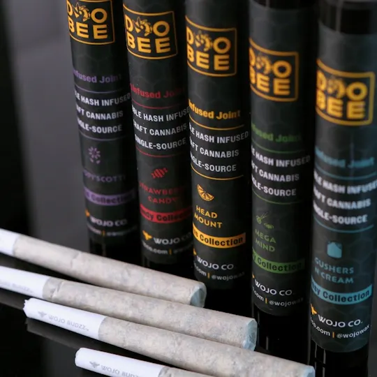 Wojo Co - Wojo Co | Stuffed Grape Gelato | Infused Doobee - 1g - 1