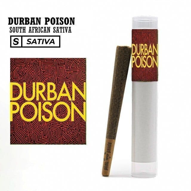Phat Panda - Durban Poison | Joint | 1g - 1