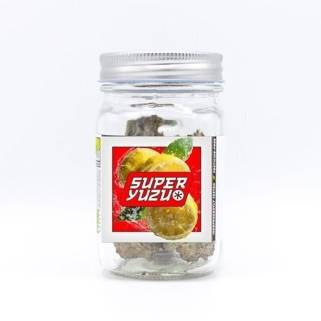 Phat Panda - Super Yuzu | Big Buds | 3.5g - 1