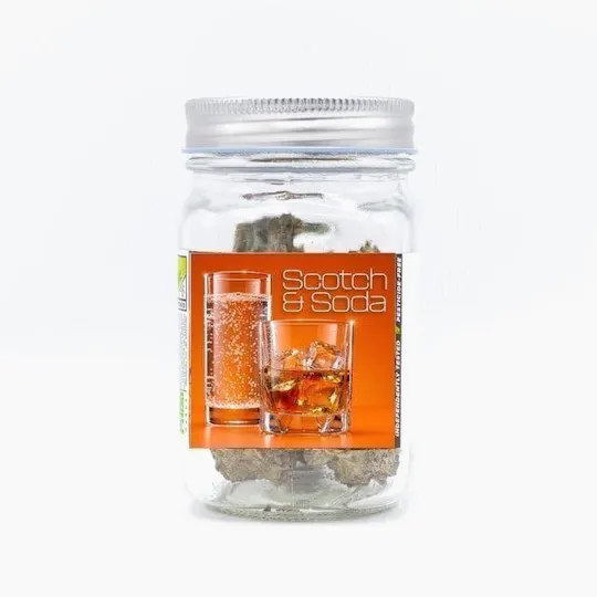 Phat Panda - Scotch & Soda | Big Buds | 28g - 1