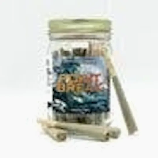 Phat Panda - Platinum | Point Break | Joints | 1g each | 28pk - 1