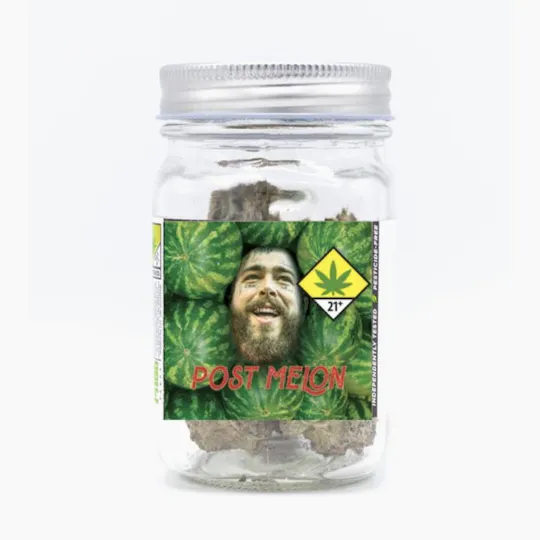 Phat Panda - Phat Panda Platinum | Post Melon | Big Buds - 1