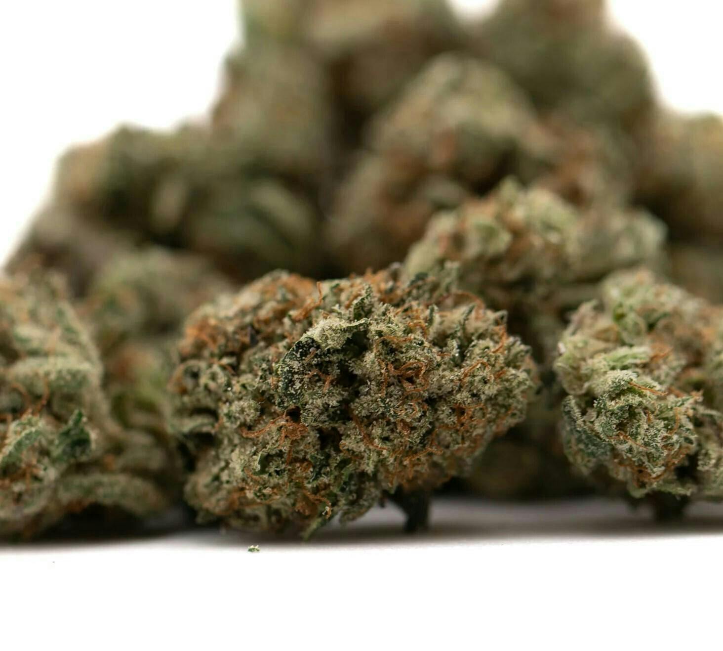 Moonlight Collective - Moonlight Collective | Tropical Punch | Smalls | 28g - 1