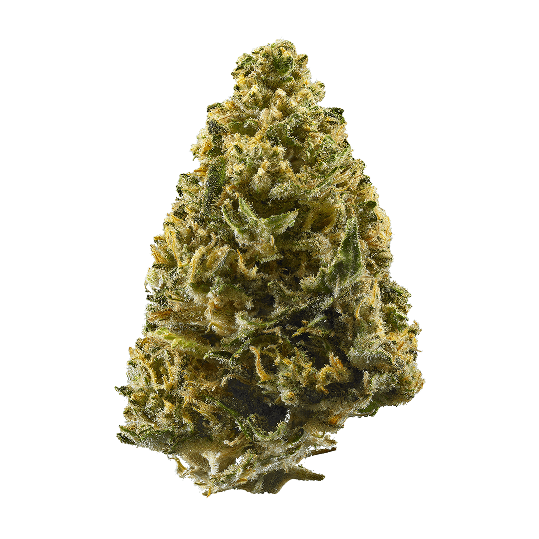 Moonlight Collective - Moonlight Collective | Northern Lights | Flower | 28g - 1
