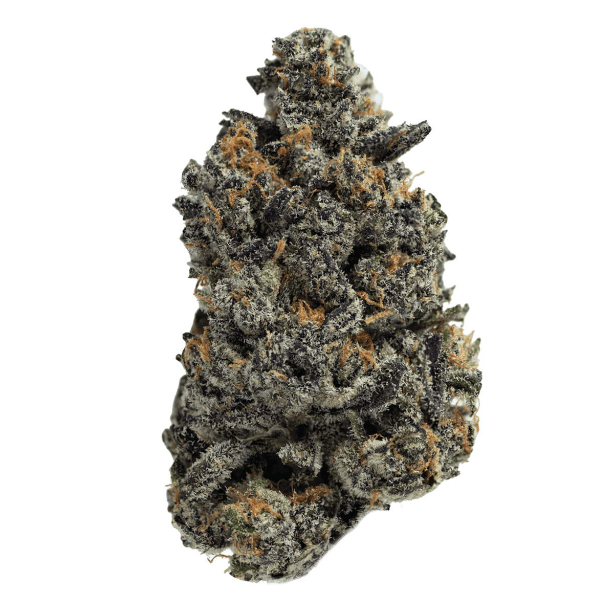 Moonlight Collective - Moonlight Collective | Electric Zlushie | Flower | 28g - 1